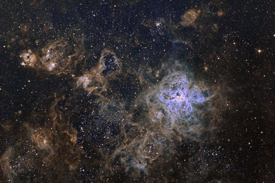 the-wolf-and-moon:  Cosmic Web of the Tarantula Nebula  the ONLY time a tarantula