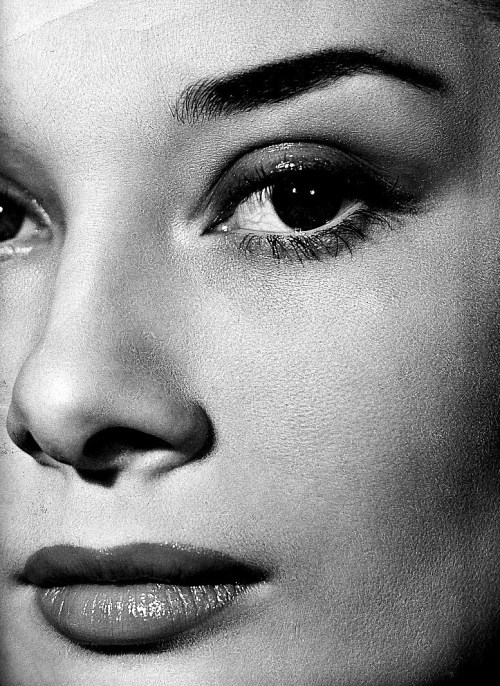 xxhorace - Audrey Hepburn