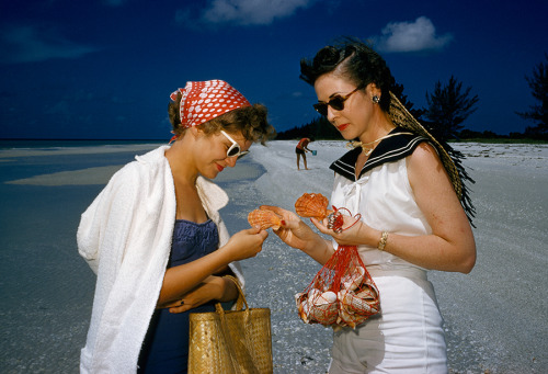 Shell hunters in sunglasses examine a lion’s paw, a prized find on Sanibel Island in Florida, 