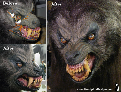 #WerewolfWednesday Here’s a restoration project by Tom Spina Designs of the werewolf from &ldq