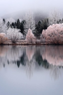 maureen2musings:  Twizel, New Zealand   danielmurray.nz