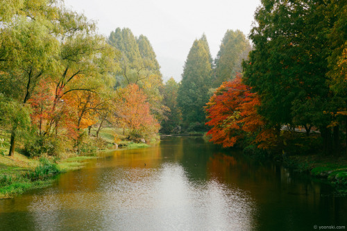 lovesouthkorea: Fall in Gwacheon, South Korea by Yoonski Kim