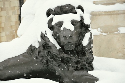 englishsnow:   by Paolo Camera   Trafalgar Square