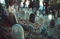 clavicle-moundshroud: Old Jewish Cemetery