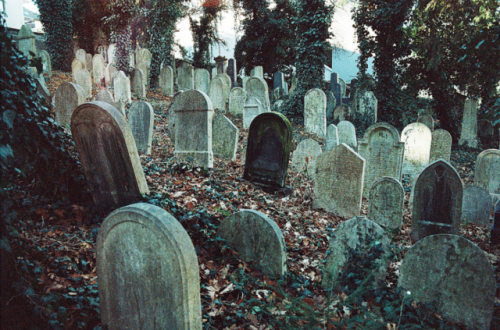 clavicle-moundshroud: Old Jewish Cemetery adult photos