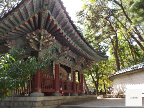 Place : 삼각산 도선사 Temple on Bukhansan MountainsPhotograph : Lee Nana