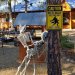 hereforsterekcontent:...Babe come look at the halloween decorations I set up!😍🥰💫...