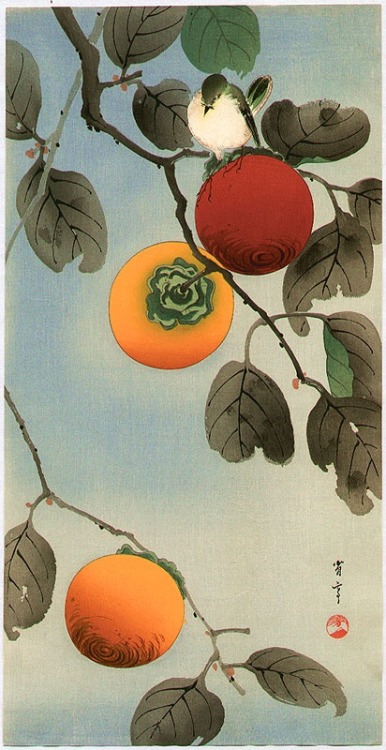 nobrashfestivity:Shotei Watanabe  Bird on a Persimmon Tree