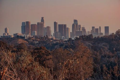Los Angeles skyline #bealpha #sonyphotography #sonyimagegallery #losangeles #southerncaliforniaphoto