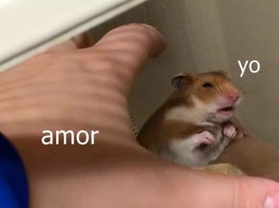 murallamuerta:  Pasa xD