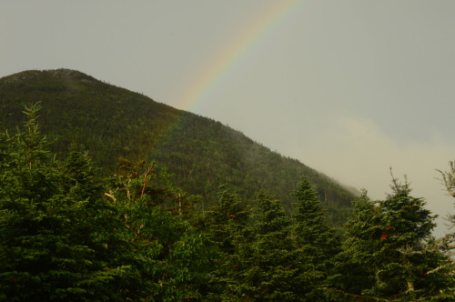 RainbowIt started to pour just as we got to the lean-to, a 5 minute down pour maybe, then clear skie