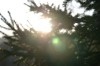 poseidonae-deactivated20220906:bits of my cosmos