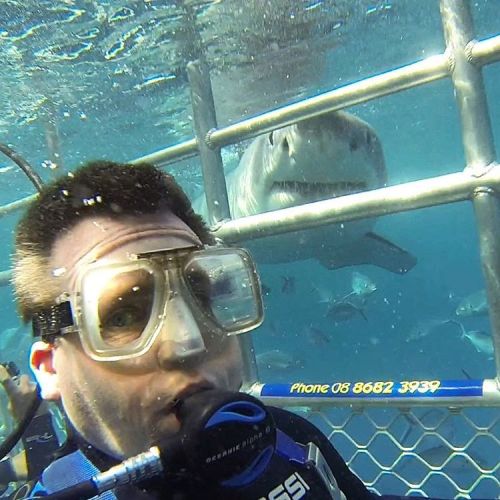 Guest Chris Bailey got himself this fantastic shark selfie on Wednesdays charter! It is not an easy 