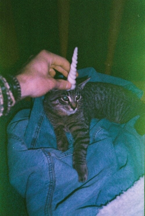 Baby