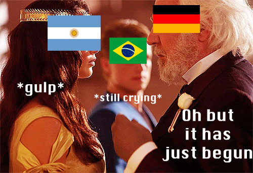 notfunnynotcool:  World cup as the hunger games, waiting to see who will win the world cup!!!!