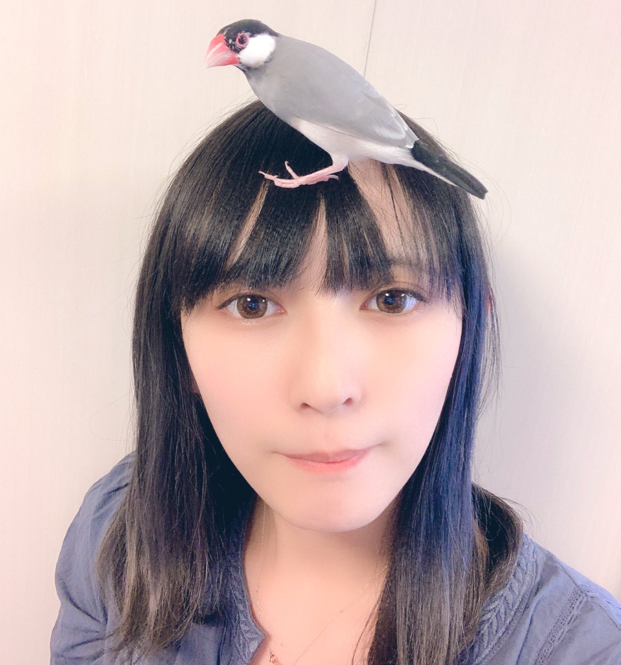 武藤志織tumblr Posts Tumbral Com 武藤志織tumblr Posts Tumbral Com