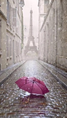 audreylovesparis:  Paris rain 