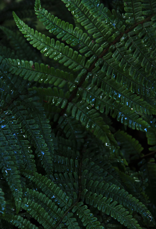 browngirlblues.tumblr.com/post/130477328336/
