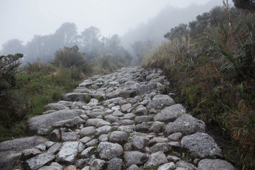 Follow the Brick Road, Inca Trail, Peru by Sangy23 on Flickr.