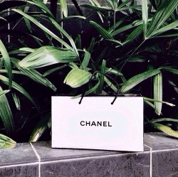 vogue-chanel71:  a s t o u n d - https://weheartit.com/entry/135806726 