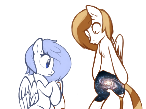 XD Wut