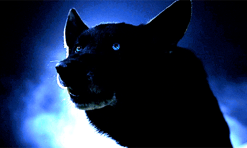 tl-hoechlin:  You were… You were dead… 