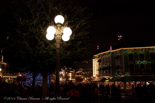 Main Street at Night