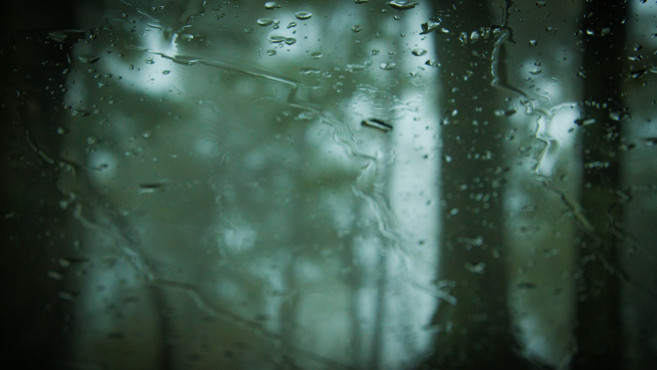 expressions-of-nature:  Raindrops at Jeffress Park, North Carolina by Lindley Ashline