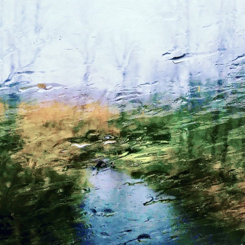 Wet Window Still Life, Annandale on Hudson by Liza Charlesworth