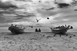 photographersdirectory:  hey, i m Simon , photographer based in cologne, germany, the photo was taken in Sri Lanka, Arugambay. 