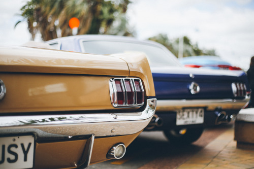 tumblr photo racered50 0