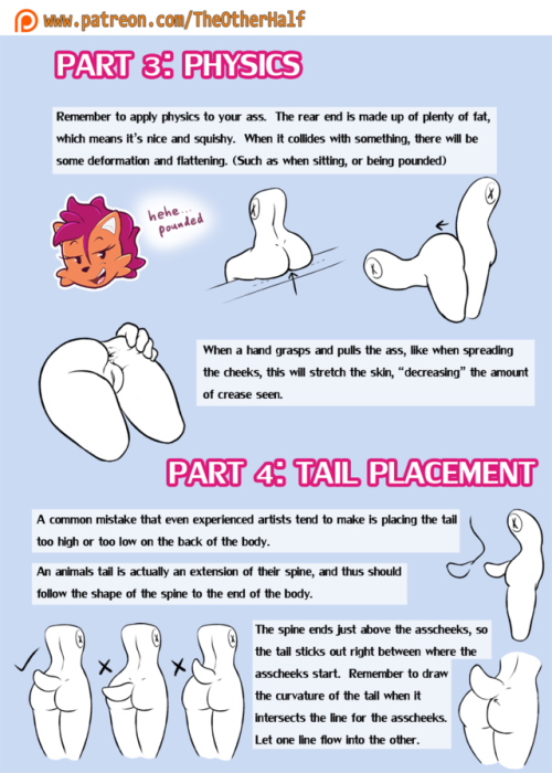 the-other-half-draws:BUTT TUTORIAL PART ½.  A couple people have been asking about this recently, and since there’re a lot of new people since it was posted, here’s the butt tutorial I made last year. (What causes the crease, shape, anatomy and