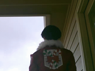 askaheichou:  thingsthatarenotlube:  stoned-levi:  askaheichou:  Unless you use Astroglide