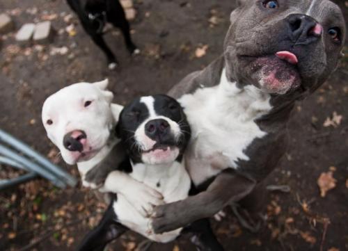 bonestructure:  me and the crew