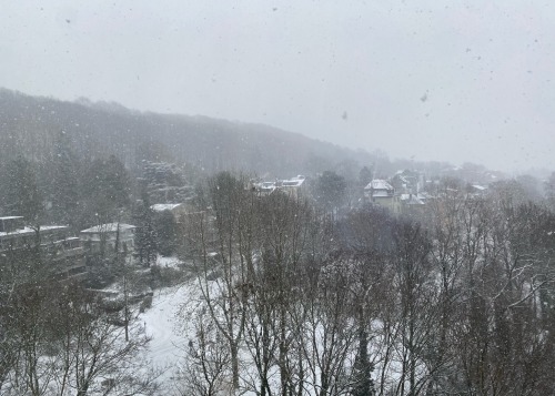 Also Finally I Have A Picture Of My Window View For Every Season.