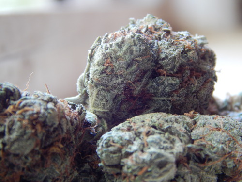stonergoddessdad: I love the close-up shots(please don’t delete my caption, self-promote, or u