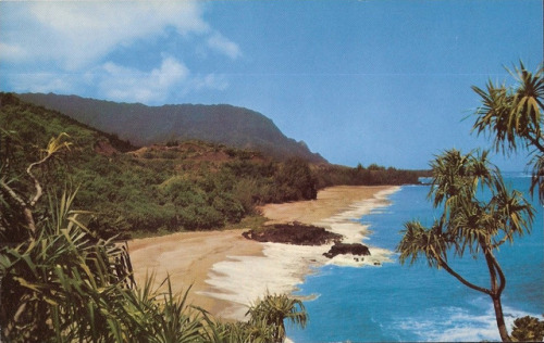 apeninacoquinete:Lumahai Beach, Kauai, 1960s