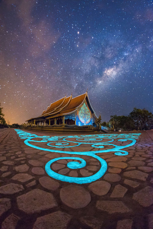 travelgurus:  Imagination by Korawee R. at “Sirindhorn Wararam Phu Prao”, Thailand  Follow @travelgurus for the best Tumblr Images   