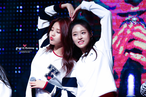 dataoa: heart of hyejeong // do not edit