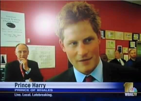 pussysista:  Prince of whales