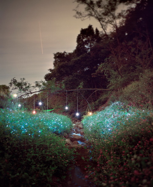 unicorn-meat-is-too-mainstream:  “Starry Night” by Lee Eunyeol Bhakta’s Weblog:  facebook  |  twitter  |  pinterest  | subscribe
