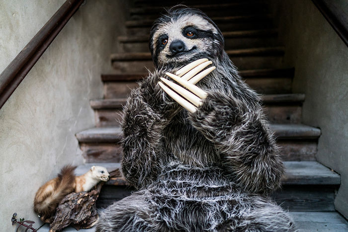 Designer Karoline Hinz has created a realistic sloth costume