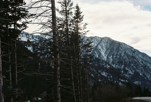 lost-adventures:  11.9.13 Little Cottonwood Canyon by sierrajune on Flickr. 