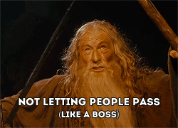 pippinforthewin:  like a boss + Gandalf 