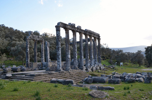 myhistoryblog:Temple of Zeus Lepsynus, built on the site of an earlier Carian temple, 2nd century AD