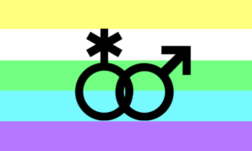 lgbtqa-pride-icons: a new flag! i thought the flag for Viramoric listed on the lgbta wikia wasn&rsqu