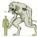 kinerxy:FeralytosisThe werewolf diseaseDifferent specimens of the primate order can be affected by this rare sickness.The main symptoms are a total change in the anatomy of the body, increase in size, elongation of the muzzle and a great appetite for
