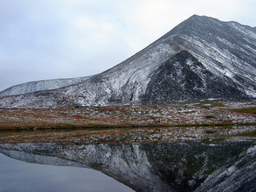 just-breezy:Lost Lake hike, Tok, Alaska 