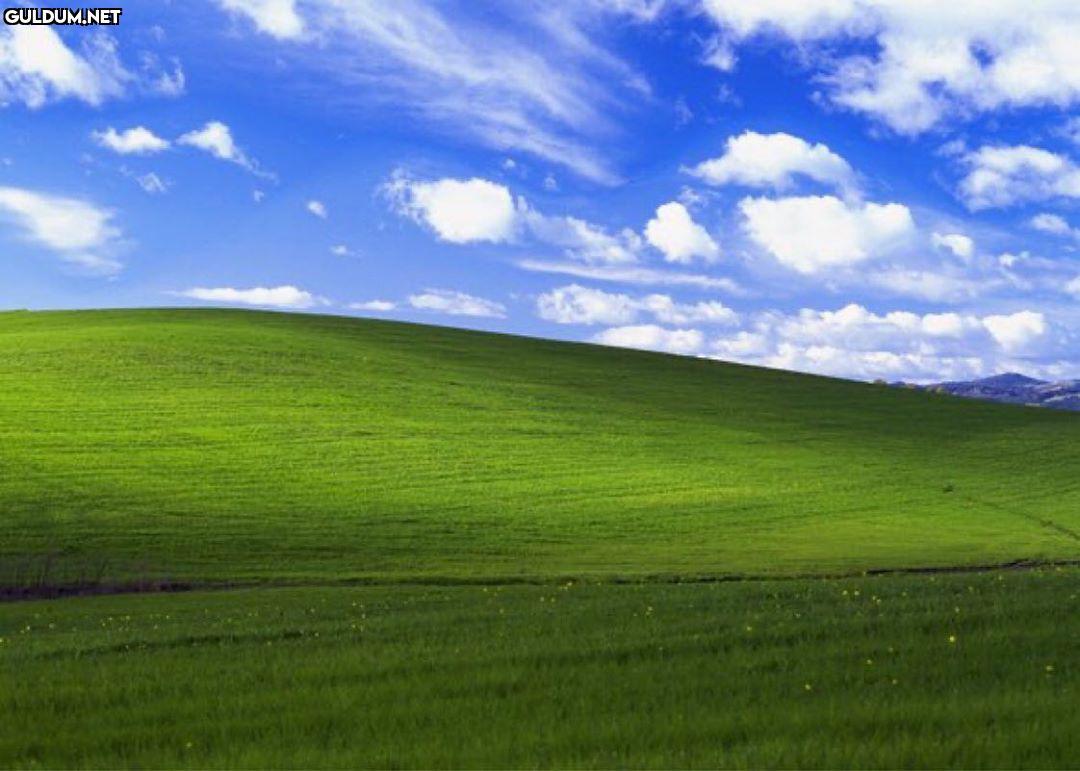 ‪Windows XP "Bliss" duvar...