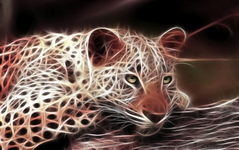 Animals Drawn With Light.